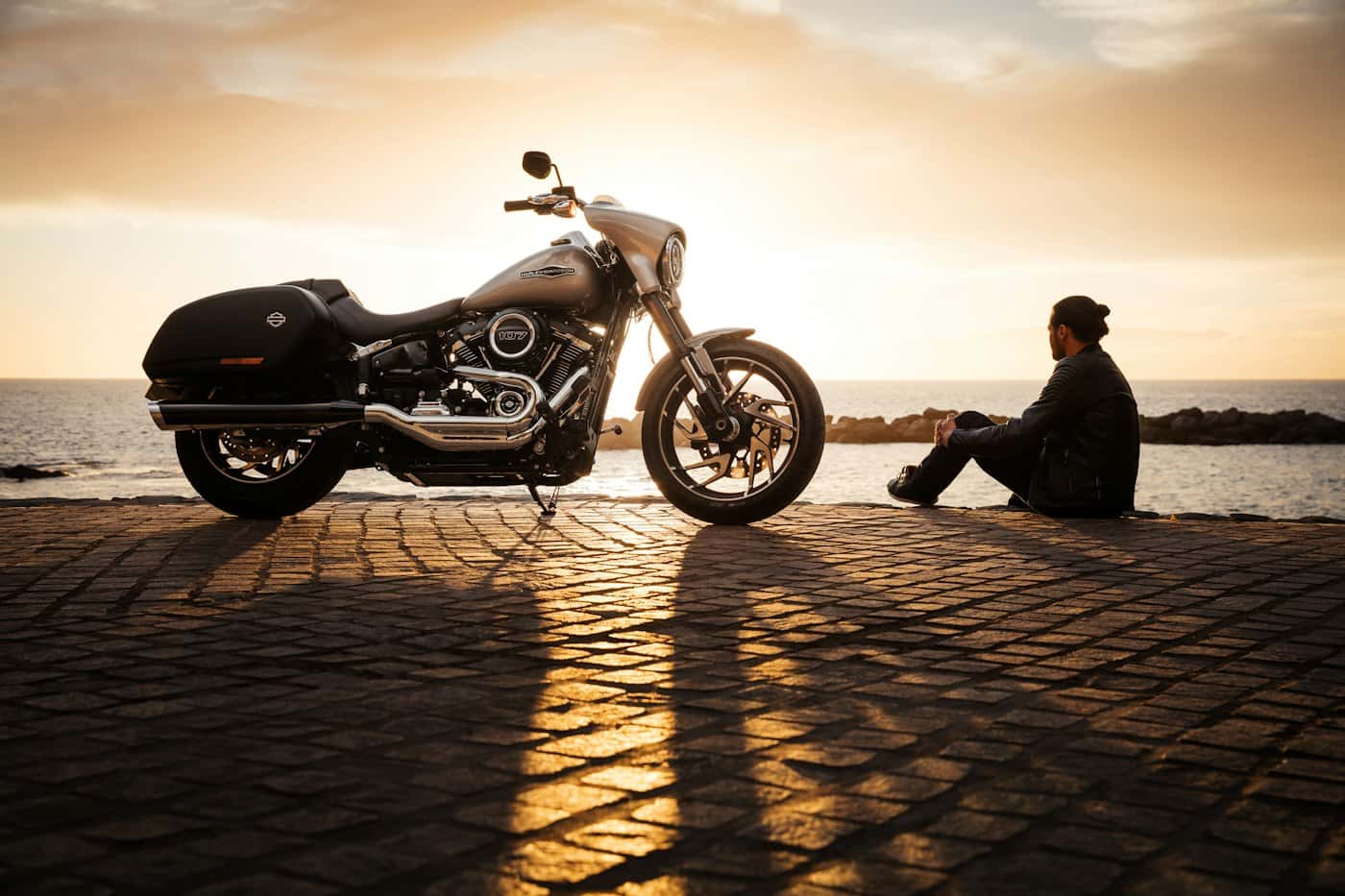 2017 Harley-Davidson Iron 883