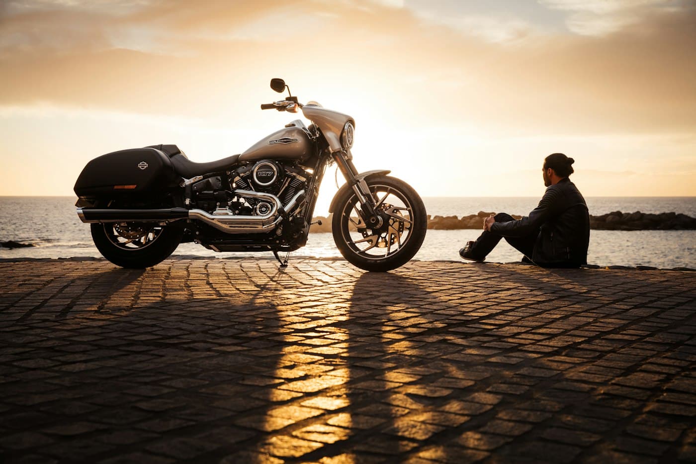 2017 Harley-Davidson Iron 883